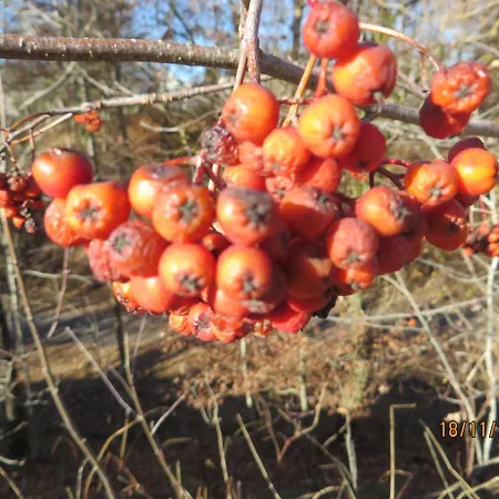 Casa Maria Διαμέρισμα *